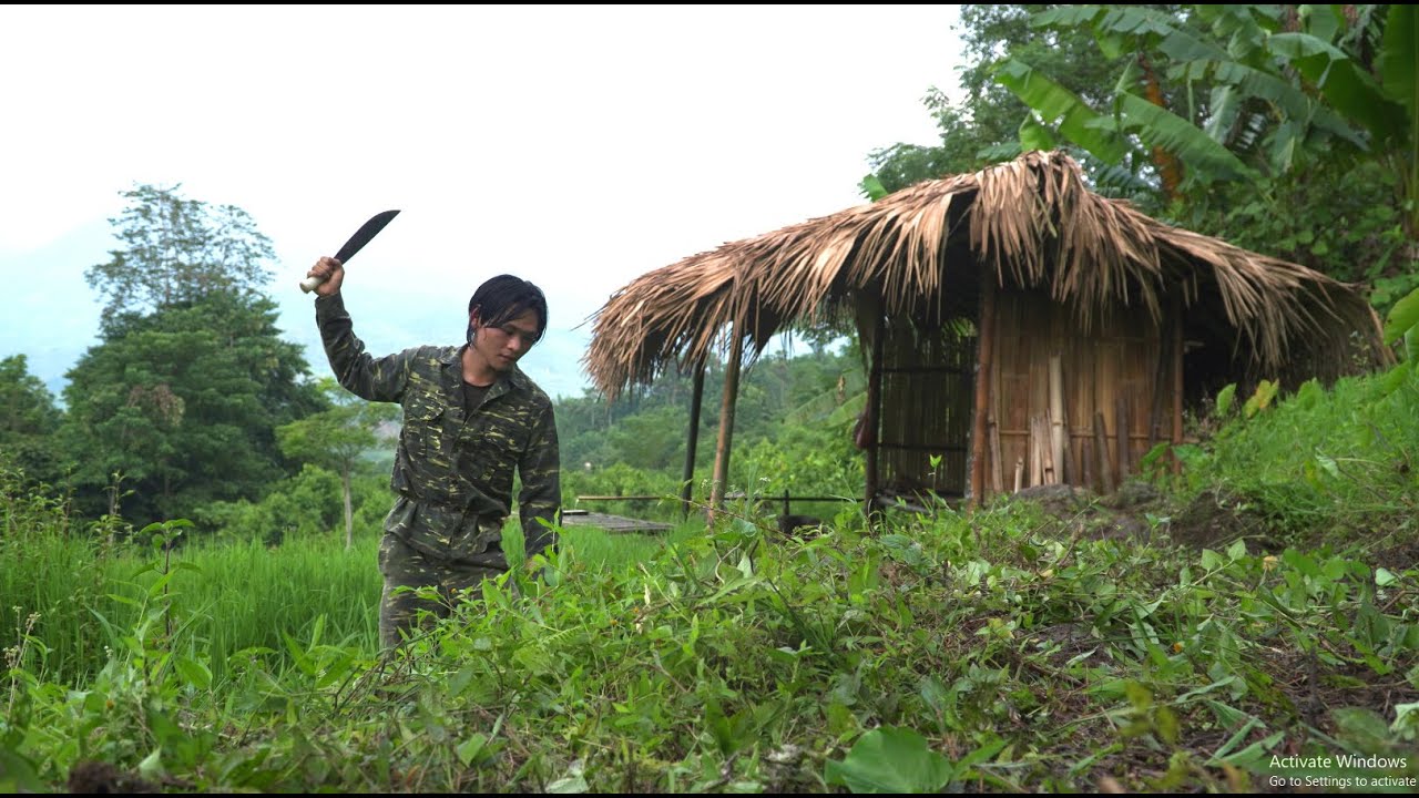Building a Path, Clearing Drainage and Picking Wild Fruits - Off Grid Survival