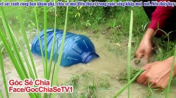 Đặt Camera cận cạnh bẫy cá lóc bằng bình nước 20l