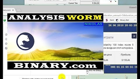 ANALYSIS WORM BINARY.com