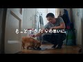 もっとできたらの思いに。びしょ濡れ 犬篇 ヒルズ