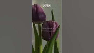 ما تيسر من#سورة_الزمر/القارئ #عبدالله_الموسى