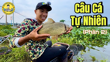 Hành Trình Đi Câu Cá Tự Nhiên (phần 2)