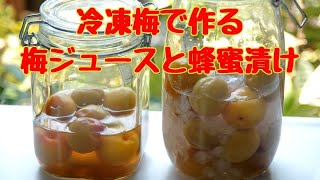 冷凍梅で作る梅ジュースとはちみつ漬け/梅は冷凍保存でいつでも使える/