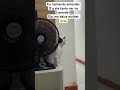 #cat #cats #catslove #catvideos #catshorts #gato #gatos #pet #pets #petlover #petlovers #petshorts