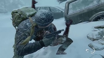 The Last of Us Part II - New Game+ |Custom Difficulty Settings|