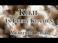Koji dans chaque cuisine avec meredith leigh