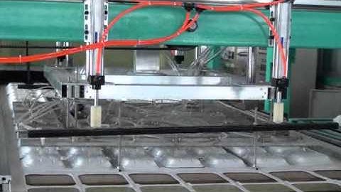 automatic disposable ps foam fast food container production line/EPS Processing machine