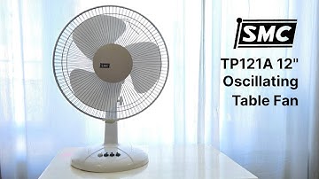 SMC Model TP121A 12" Oscillating Desk Fan (2005)