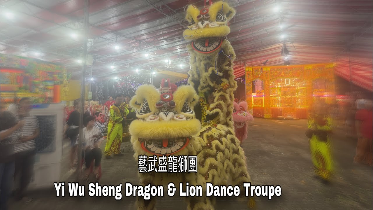 4k 新加坡藝武盛龍獅團 Singapore Yi Wu Sheng Lion Dance Cai Qing Performance at 南 ...