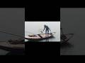 গ্রামবাংলায় বিলে মাছ ধরা#viral #video #youtubeshorts