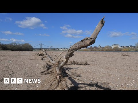 Dry winter sees drought across parts of Europe – BBC News