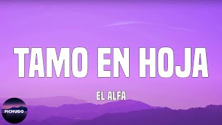 Download Lagu El Alfa - Tamo en Hoja  (Lyrics) MP3 Download Lagu El Alfa - Tamo en Hoja  (Lyrics) MP3