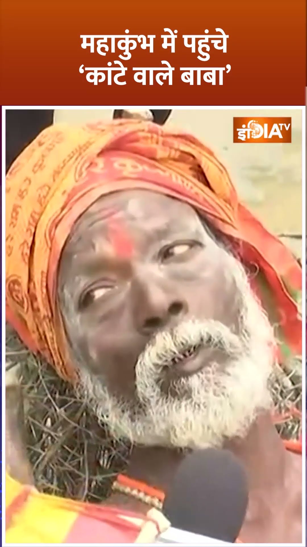 #mahakumbh2025  में पहुंचे ‘कांटे वाले बाबा’, नुकीले कांटों पर करते हैं तपस्या #prayagraj #shorts