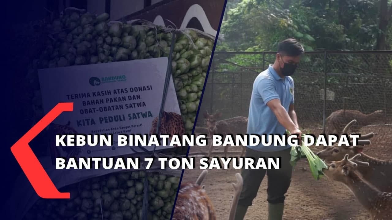 Kebun Binatang Bandung Dapat Bantuan 7 Ton Sayuran