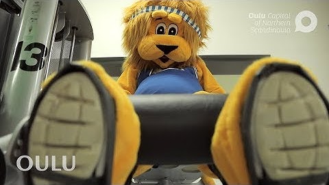 Loikka-leijonan ryhtiliike