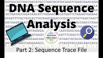 DNA Sequence Analysis - Culture Validation part 2 (DNA Sequence Trace File)