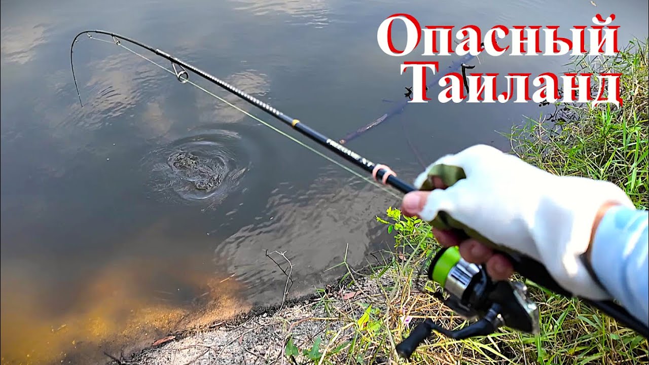 КАКАЯ ОПАСНОСТЬ ТАИТСЯ НА ДИКИХ ВОДОЁМАХ ТАИЛАНДА !