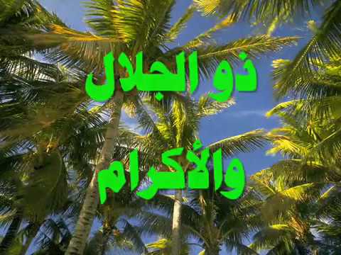 اسماء الله الحسنى هشام عباس 