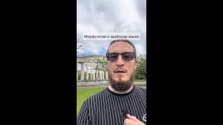 Морфология в арабском языке