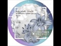 Robin Schulz Stone Original Mix mp3