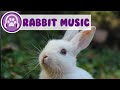 Music for Rabbits - Calm and Soothe Your Anxious Rabbit and Help Them Sleep!