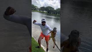 MY FIRST IGUANA CATCH?!? 😱🦎 @stackz954