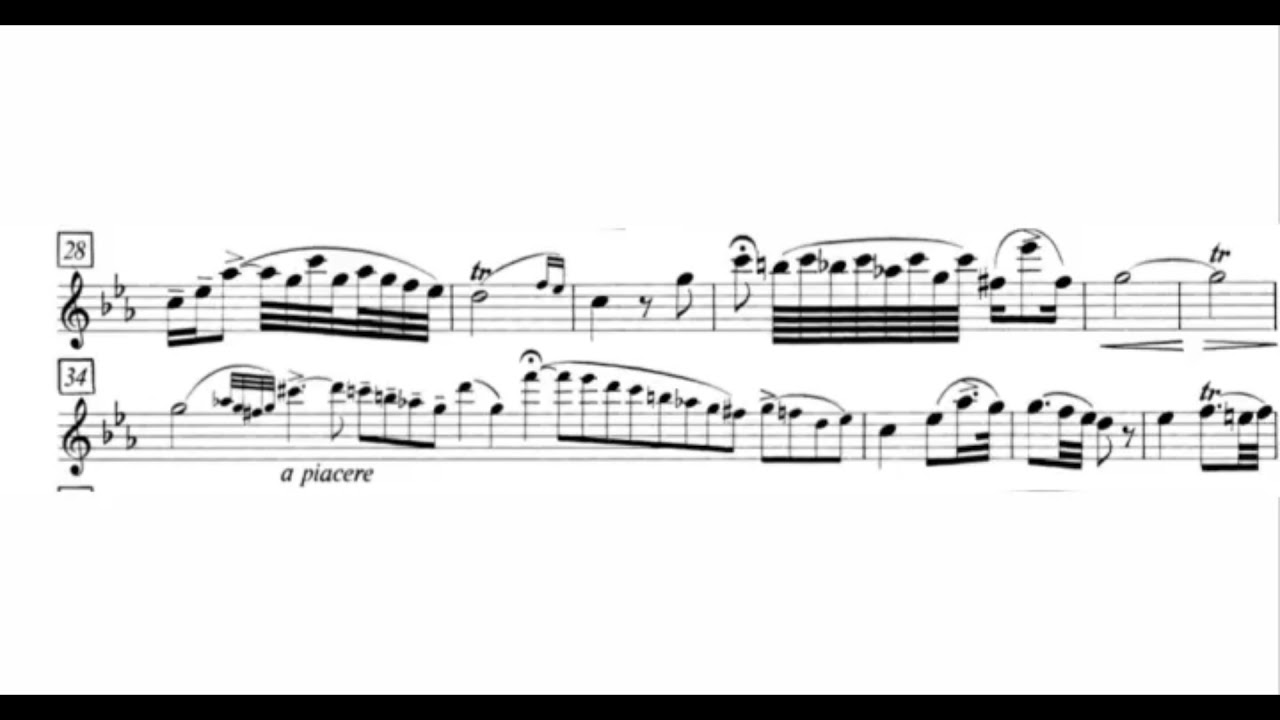 Donizetti Clarinet Concertino, Simone Nicoletta, Clarinet