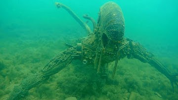 6 Scary Things Found Underwater