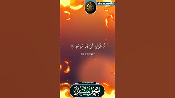 تلاوة عذذذذذبة #بصوت القارئ محمد سند حفظه الله #ماتيسر من سورة الزخرف #تيك_توك #