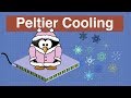 Peltier Effect Cooling - Experiments with a Peltier Cooler Device