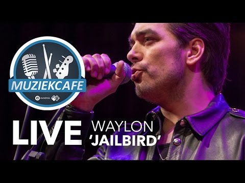 Waylon - 'Jailbird' live bij Muziekcafé