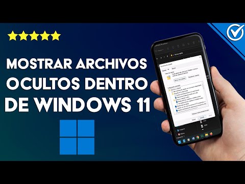 ¿Cómo mostrar los archivos ocultos dentro de WINDOWS 11? - Configuración rápida