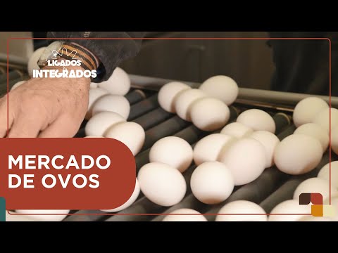 Exportações de ovos cresceram quase 70% no 1º bimestre de 2024 | Ligados & Integrados - 01/04/2024