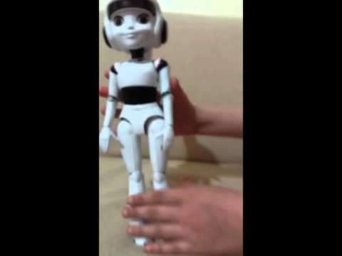 Çeliknaz robot