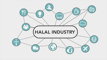 Whatshalal Intro Video