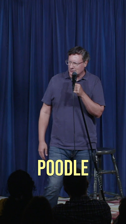 I think that’s where we got the poodle cut. #dog #doggroomer #dogstyle #standup #costaki