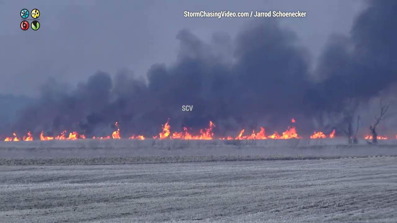 Large Wildfire near Waseca, MN - 3/3/2024