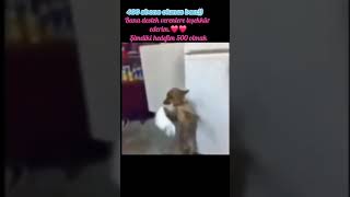 Hepinizee Teşekkür Ederim Larım Izlenince Daha Çok Paylaşmak Istiyorum