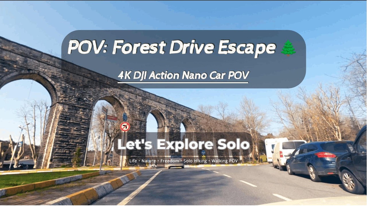 POV | Forest Drive Escape 🌲 | 4K DJI Action Nano Car POV