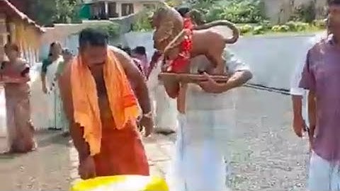 കുമാരനല്ലൂർ ഊരാണ്മ ദേവസ്വ കീഴൂട്ടായ മാഞ്ഞൂർ തെക്കുംഭാഗം ഭഗവതി ക്ഷേത്ര ബ്രാഹ്മണിപ്പാട്ട് മഹോത്സവം