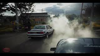 Fox Mustang Colombia - Pete N' Dug