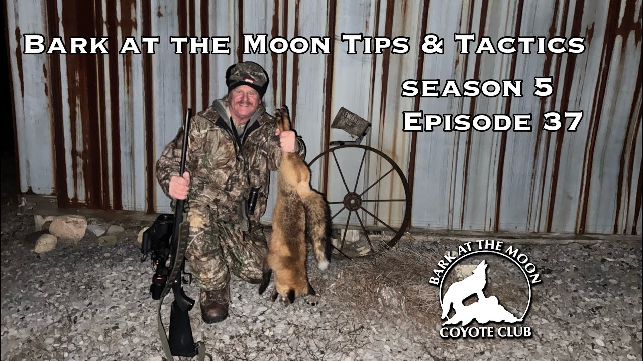 Bark at the Moon Tips & Tactics Ep 37