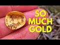 Finding Gold Everywhere |Metal Detecting for Gold