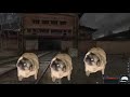 Мопсы танцуют под радио бандитов из сталкера | Pugs dance to the radio bandits of stalker #Shorts