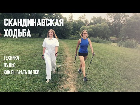 Скандинавская ходьба: правильная техника для начинающих и пожилых, как выбрать палки и похудеть