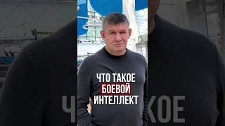 Что Такое Боевой Интеллект #Михаилгрудев #Извор