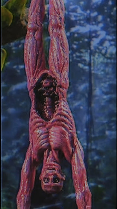 ¿Porque los Predators despellejan a sus presas? • #shorts #peliculas #comics #predator #yautja