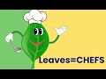 Little Leaf :How Plants Make Food - Parts of plant &amp; Photosynthesis for toddlers