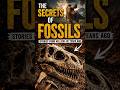 The Ancient Creatures Hidden Beneath Earth, Wonders Of The Past World Animal Planet
