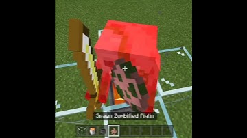 Zombie Pigman Make No Sense In Minecraft #Shorts
